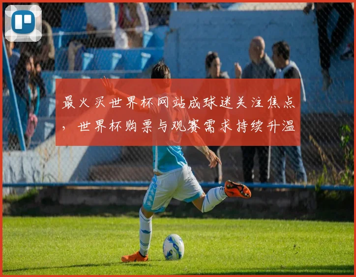 最火买世界杯网站成球迷关注焦点,世界杯购票与观赛需求持续升温