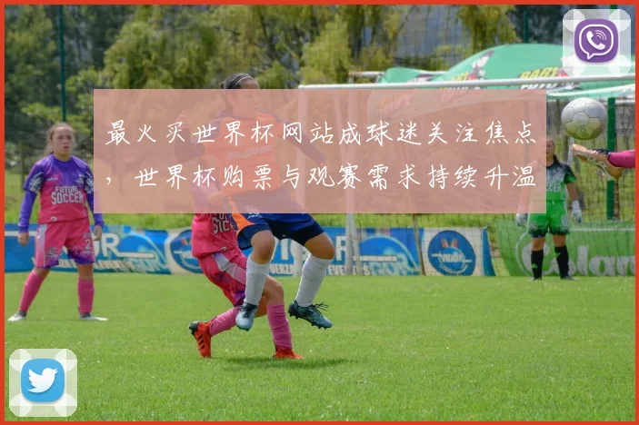 最火买世界杯网站成球迷关注焦点,世界杯购票与观赛需求持续升温