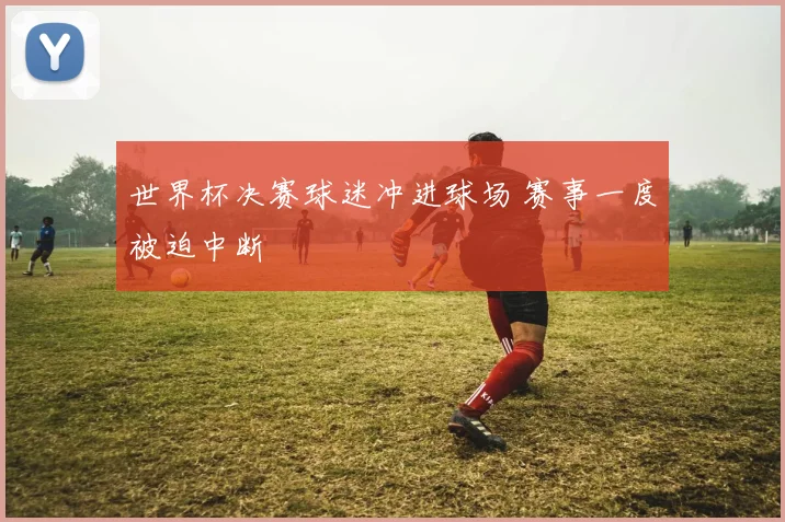 世界杯决赛球迷冲进球场 赛事一度被迫中断