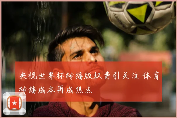 央视世界杯转播版权费引关注 体育转播成本再成焦点