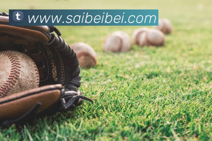 世界杯平台官网登录平台生态图